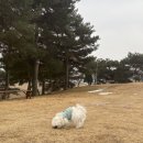초정힐링캠핑장 이미지