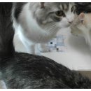 용강농장 이미지