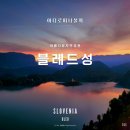 푸른노을 | 슬로베니아 대표 관광 명소! 블레드 성 후기 (포토존, 노을 명소)