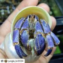 정글스토어 이미지