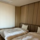 소노펠리체 델피노 이미지