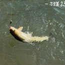 취병낚시터 이미지