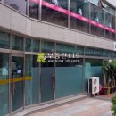 노은서로(유성-61) Daum카페