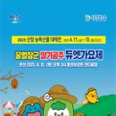 딸기공주 - 창원시 성산구 | 딸기공주