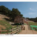 녹색목장 이미지