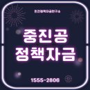 중진공 정책자금 완벽가이드 - 정부가 밀어주는 사업자금, 제대로 쓰는 법