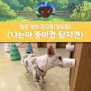 털로덮인친구들 서울상도점 | 동작구 애견 유치원 후기 / 상도동 애견 유치원...유치원 / 애견 유치원 추천(털로덮인친구들 상도점)