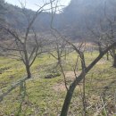 장창수농장 이미지