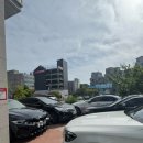 마리오헤어 - 창원시 의창구 하남천서길21번길 8-7 | 청주smp studio 두피, 탈모 고민 헤어라인 커버 후기