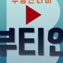 부동산티비인사이드