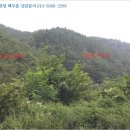 진골천 네이버블로그