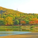 율동공원 이미지