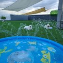 모글리몽 이미지