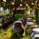 양수리전통시장(양평양수리시장) | 양수리 전통시장 맛집, 두물머리 여행 전 따라간 양평 민물장어집