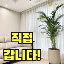 센텀엘카사 | 부산 중구 커튼 블라인드 보수동 센텀엘카사 움직이는커튼집