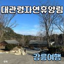 대관령자연휴양림 | 강원도 강릉 대관령 자연휴양림 숙박 후기, 눈없이 별과 달만 보고왔다