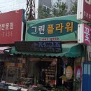 그린플라워 이미지
