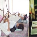 오행웰빙하우스강화쑥좌훈방