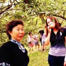 양명초교 이미지