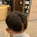 루시헤어 이미지