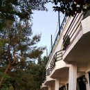 해뜨는 언덕 이미지