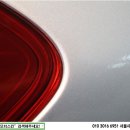 모터스킨