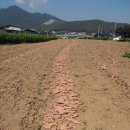 노평 농장 이미지