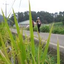 약탕골황토방 이미지