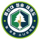 용인대 청솔 태권도 이미지