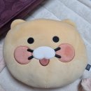 인형프렌즈 | 홍대 카카오프렌즈샵 인형 가습기 플래그십스토어후기