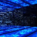 포도뮤지엄 이미지