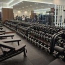 골든타임핏 이미지