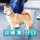 듀