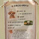 슬로우앤릿