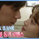 드포레스트 이미지