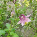 봉양농장 이미지