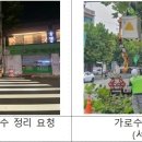 주정차76 이미지