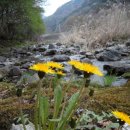 지혜의샘터 이미지