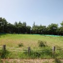 영등동유적 이미지