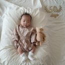 인보목장 이미지