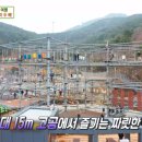 타워민박 이미지