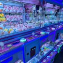 팡야팡야뽑기방 이미지