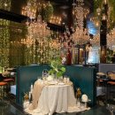 디라이프 이미지