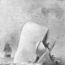 허먼 멜빌의 《Moby Dick》 이미지