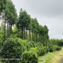 낙우농장 이미지