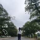 위드미 아리수 경주호텔점 | 경주 자유여행 알찬 2박3일 코스(스노쿨링, 숙소, 황리단길, 월정교)