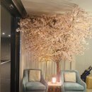 브라운도트 김해삼계점 이미지