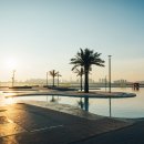 배곧한울공원 이미지