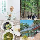평창 오대산사고등록 | 오대산 월정사 전나무 숲길 '강원 산사에서 특별한 미식'에서 강원도 사찰의 매력에 흠뻑