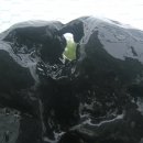 오석농장 이미지